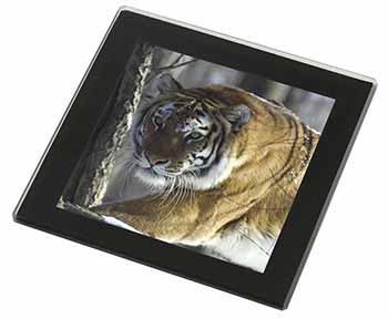 Tiger in Snow Black Rim High Quality Glass Coaster