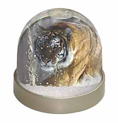 Tiger in Snow Snow Globe Photo Waterball