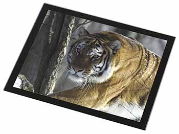 Tiger in Snow Black Rim High Quality Glass Placemat