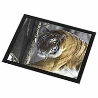 Tiger in Snow Black Rim High Quality Glass Placemat