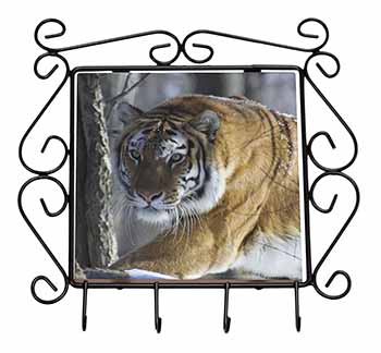 Tiger in Snow Wrought Iron Key Holder Hooks