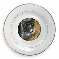Tiger in Snow Gold Rim Plate Printed Full Colour in Gift Box