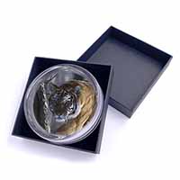 Tiger in Snow Glass Paperweight in Gift Box