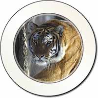 Tiger in Snow Car or Van Permit Holder/Tax Disc Holder