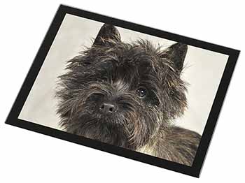 Brindle Cairn Terrier Dog Black Rim High Quality Glass Placemat