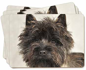 Brindle Cairn Terrier Dog Picture Placemats in Gift Box