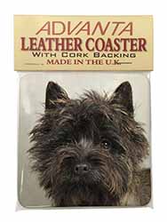 Brindle Cairn Terrier Dog Single Leather Photo Coaster