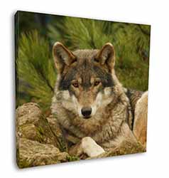 A Beautiful Wolf Square Canvas 12"x12" Wall Art Picture Print
