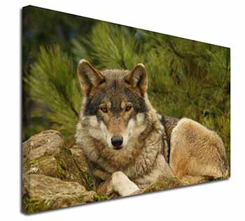 A Beautiful Wolf Canvas X-Large 30"x20" Wall Art Print
