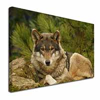 A Beautiful Wolf Canvas X-Large 30"x20" Wall Art Print