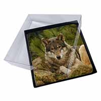 4x A Beautiful Wolf Picture Table Coasters Set in Gift Box