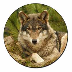 A Beautiful Wolf Fridge Magnet Printed Full Colour