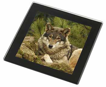 A Beautiful Wolf Black Rim High Quality Glass Coaster