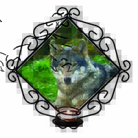 A Gorgeous Wolf Wrought Iron Wall Art Candle Holder