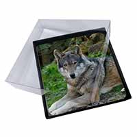 4x A Gorgeous Wolf Picture Table Coasters Set in Gift Box