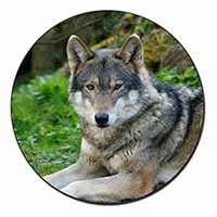 A Gorgeous Wolf Fridge Magnet Printed Full Colour