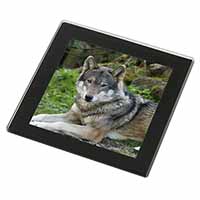 A Gorgeous Wolf Black Rim High Quality Glass Coaster