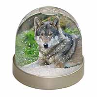 A Gorgeous Wolf Snow Globe Photo Waterball