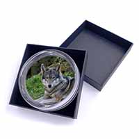 A Gorgeous Wolf Glass Paperweight in Gift Box