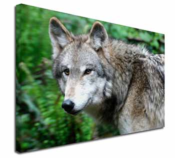 Grey Wolf Canvas X-Large 30"x20" Wall Art Print