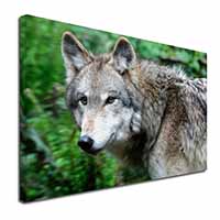 Grey Wolf Canvas X-Large 30"x20" Wall Art Print