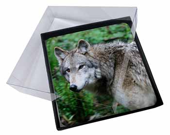 4x Grey Wolf Picture Table Coasters Set in Gift Box