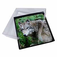 4x Grey Wolf Picture Table Coasters Set in Gift Box