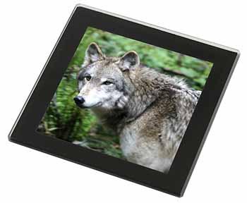 Grey Wolf Black Rim High Quality Glass Coaster