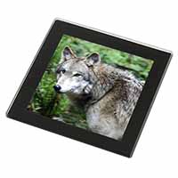 Grey Wolf Black Rim High Quality Glass Coaster
