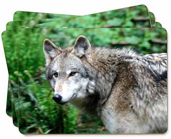 Grey Wolf Picture Placemats in Gift Box