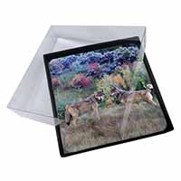 4x Wolves Print Picture Table Coasters Set in Gift Box
