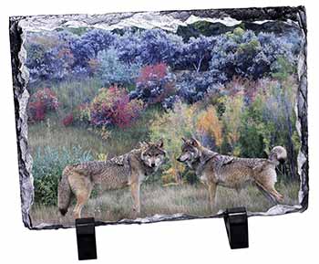 Wolves Print, Stunning Photo Slate