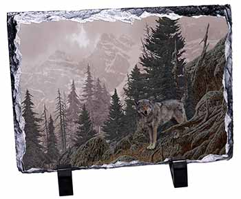 Mountain Wolf, Stunning Photo Slate