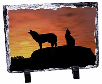 Sunset Wolves, Stunning Photo Slate