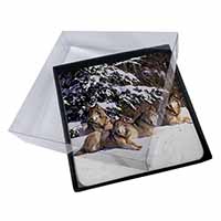4x Wolves in Snow Picture Table Coasters Set in Gift Box