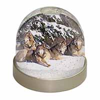 Wolves in Snow Snow Globe Photo Waterball