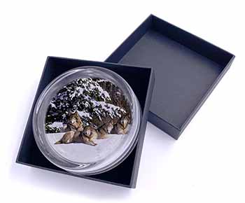 Wolves in Snow Glass Paperweight in Gift Box