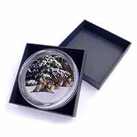 Wolves in Snow Glass Paperweight in Gift Box