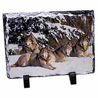 Wolves in Snow, Stunning Animal Photo Slate