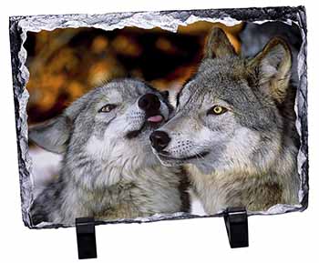 Wolves  in Love, Stunning Photo Slate