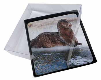 4x Mink on Ice Picture Table Coasters Set in Gift Box