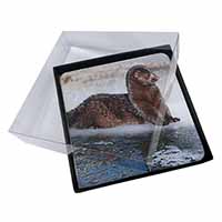 4x Mink on Ice Picture Table Coasters Set in Gift Box