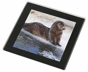 Mink on Ice Black Rim Glass Coaster Animal Breed Gift