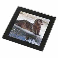 Mink on Ice Black Rim Glass Coaster Animal Breed Gift