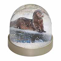 Mink on Ice Photo Snow Globe Waterball Stocking Filler Gift