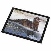 Mink on Ice Black Rim Glass Placemat Animal Table Gift