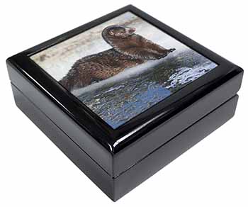 Mink on Ice Keepsake/Jewellery Box Christmas Gift