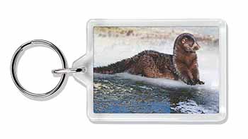 Mink on Ice Photo Keyring Animal Gift