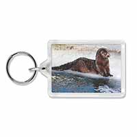 Mink on Ice Photo Keyring Animal Gift