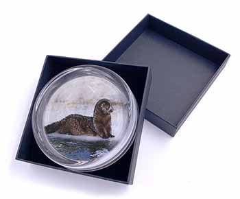 Mink on Ice Glass Paperweight in Gift Box Christmas Present